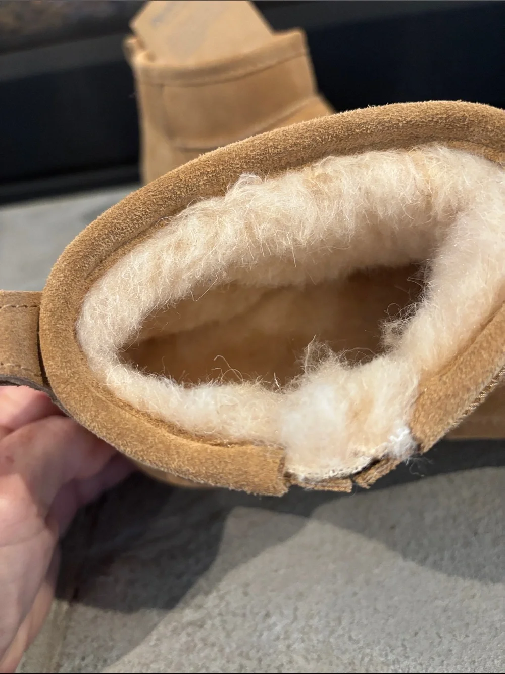 Bearpaw Retro Shorty ankle boot,cow suede,wool blend,Bear Coat treated,chunky